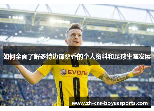 如何全面了解多特边锋桑乔的个人资料和足球生涯发展