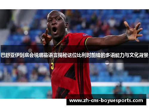 巴舒亚伊到底会说哪些语言揭秘这位比利时前锋的多语能力与文化背景