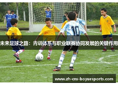 未来足球之路:青训体系与职业联赛协同发展的关键作用 未来足球之路:青训体系与职业联赛协同发展的关键作用