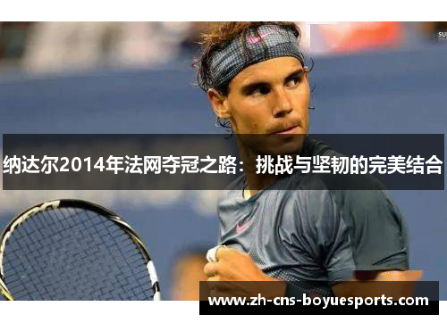 纳达尔2014年法网夺冠之路：挑战与坚韧的完美结合