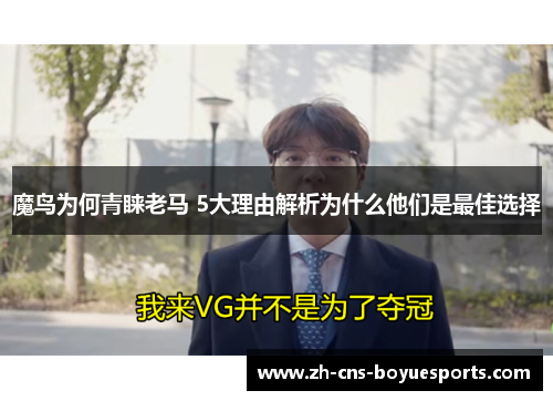 魔鸟为何青睐老马 5大理由解析为什么他们是最佳选择